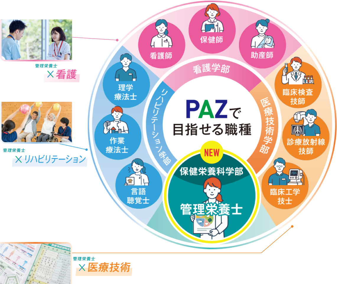 PAZで目指せる職種